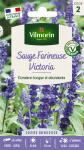 Fleurs - Sauge Victoria - PACKAGING_RECTO
